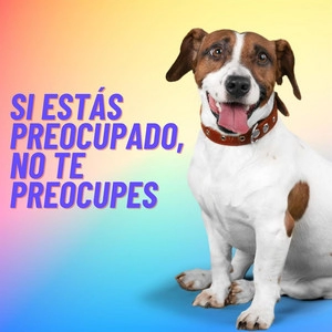 Обложка альбома Si estás preocupado, no te preocupes