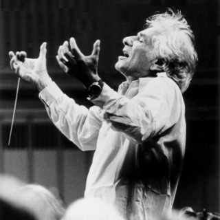 Обложка артиста Leonard Bernstein