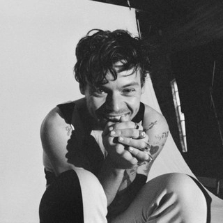 Обложка артиста Harry Styles