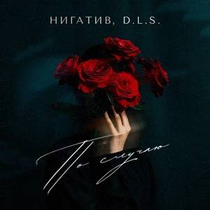 Обложка артиста D.L.S.