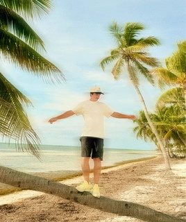 Обложка артиста The Palm Tree Boy