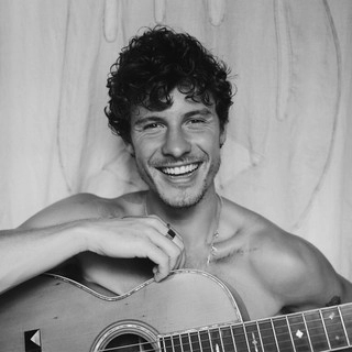 Обложка артиста Shawn Mendes