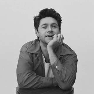Обложка артиста Niall Horan