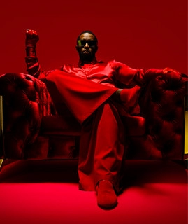 Обложка артиста Diddy