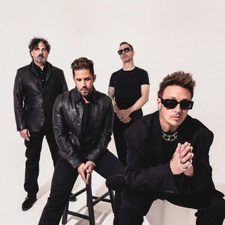 Обложка артиста Papa Roach