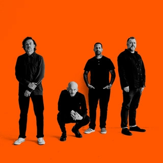 Обложка артиста Rise Against