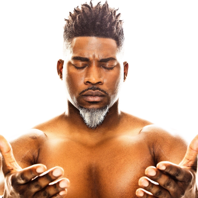 Обложка артиста David Banner