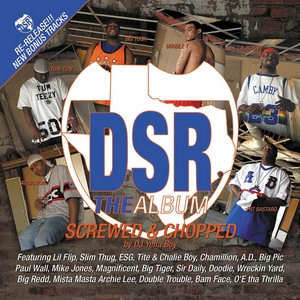 Обложка артиста DJ Yella