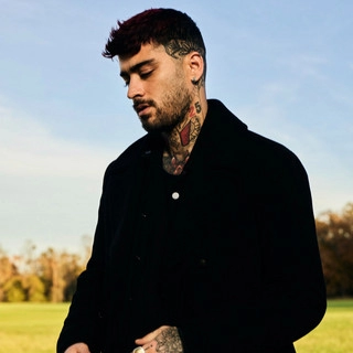 Обложка артиста ZAYN
