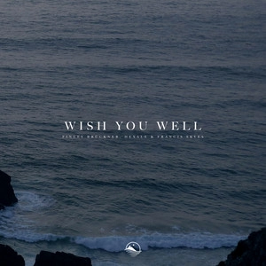 Обложка трека Wish You Well