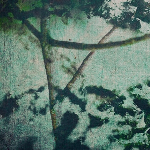 Обложка трека Vegetation Grows Thick