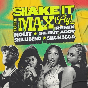 Обложка трека Shake It To The Max (FLY) - Remix