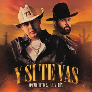 Обложка трека Y Si Te Vas
