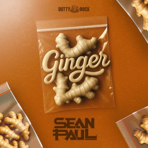 Обложка трека Ginger