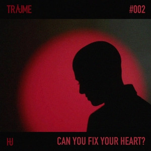 Обложка трека Can You Fix Your Heart?