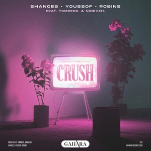 Обложка трека Crush