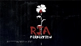 Обложка клипа Perfection