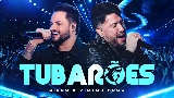 Обложка клипа Tubarões - Ao Vivo