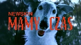 Обложка клипа MAMY CZAS