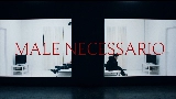 Обложка клипа MALE NECESSARIO