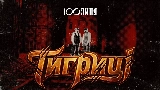 Обложка клипа Тигриці