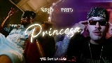 Обложка клипа Princesa