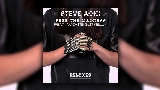 Обложка клипа Free The Madness - Steve Aoki & Max Styler Remix