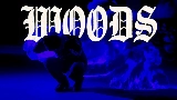 Обложка клипа WOODS