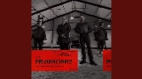 Обложка клипа Prywaciarz