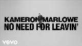 Обложка клипа No Need For Leavin'