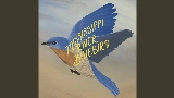 Обложка клипа Mississippi River Bluebird