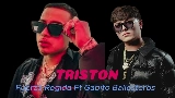 Обложка клипа triston