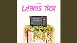Обложка клипа Labios Tusi