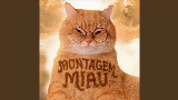 Обложка клипа Montagem Miau