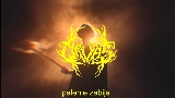 Обложка клипа Palenie Zabija