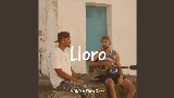 Обложка клипа Lloro