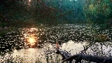 Обложка клипа Mother's Love Conquers All