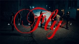 Обложка клипа FLY