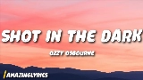 Обложка клипа Shot in the Dark