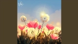 Обложка клипа Warm Feelings
