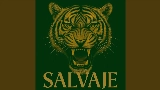 Обложка клипа SALVAJE