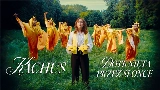Обложка клипа Dotknięta przez słońce