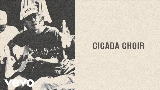 Обложка клипа Cicada Choir