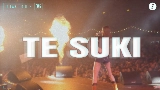 Обложка клипа TE SUKI