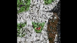 Обложка клипа Braces