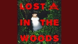 Обложка клипа Lost In The Woods