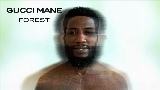 Обложка клипа Forest