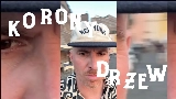 Обложка клипа Korony drzew