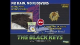 Обложка клипа No Rain, No Flowers