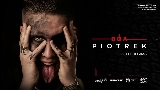 Обложка клипа Piotrek